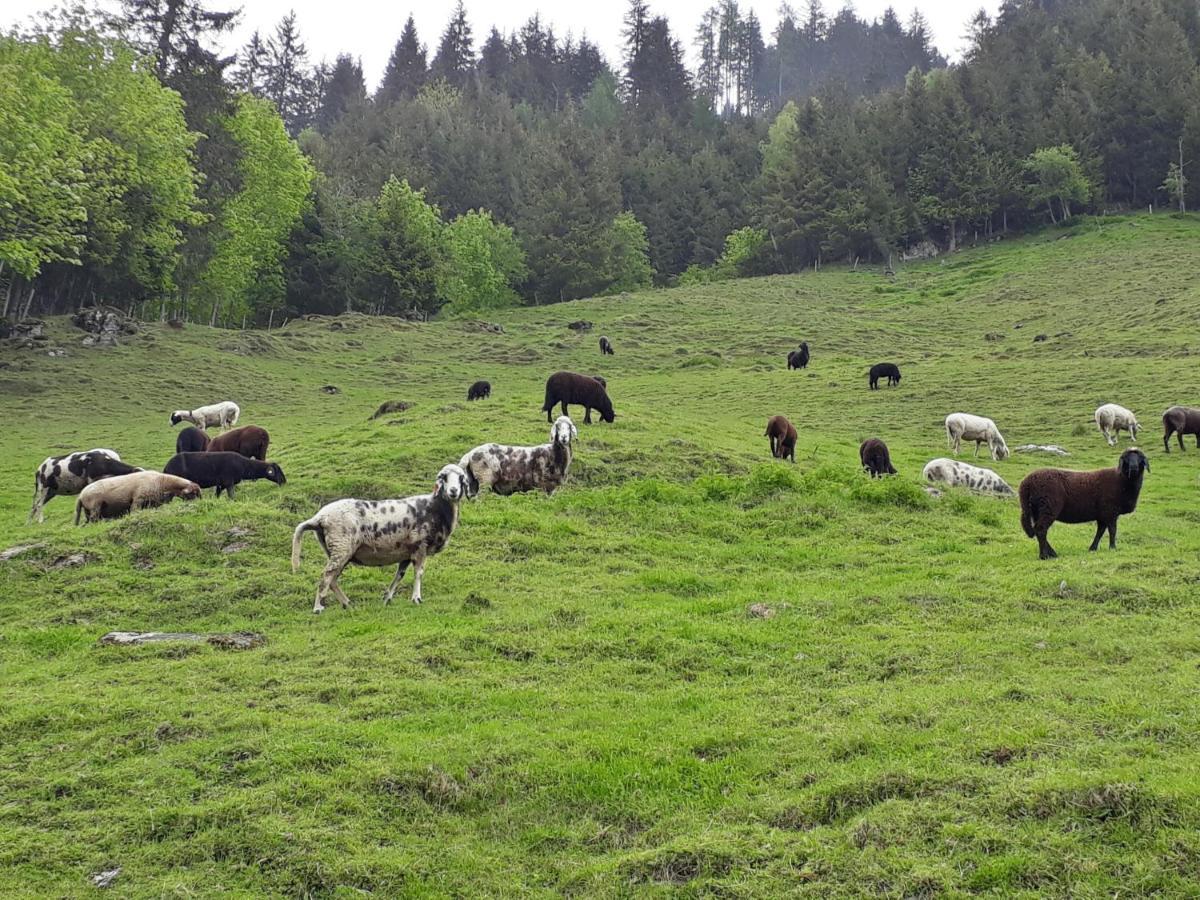Stallerhof Hüttschlag Dış mekan fotoğraf